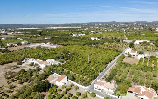 Fazenda agrícola com Moradia