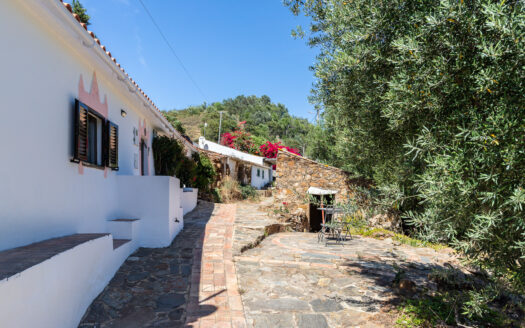 Moradia T4 em aldeia perto de Tavira