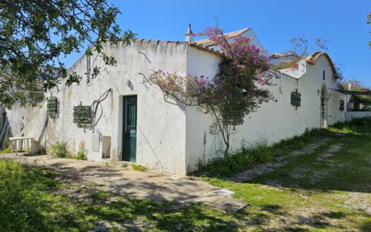 Quinta/Terreno para construção – Pegada