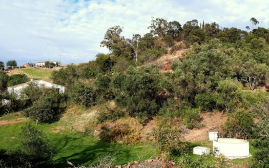 Quintinha da Água – Carrapateira ( Conceição de Tavira)